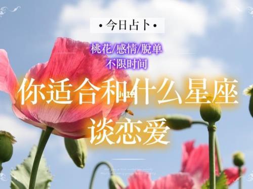 956在爱情中的意思