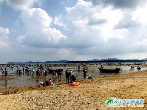 南阳赶海的地方是哪里