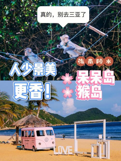呆呆岛和猴岛是一回事吗