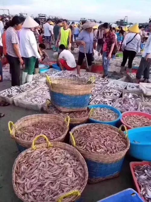 钦州海鲜便宜还是防城港便宜