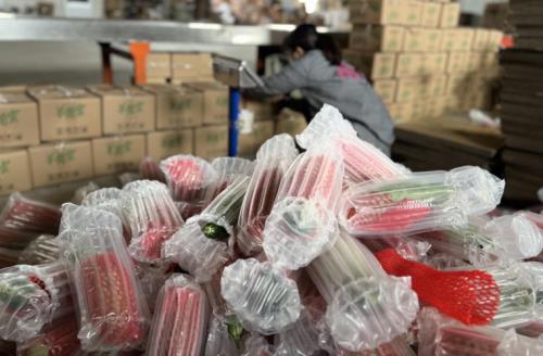 为啥拼多多卖猪肉都是山东的