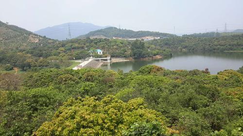 万田生态公园好玩吗