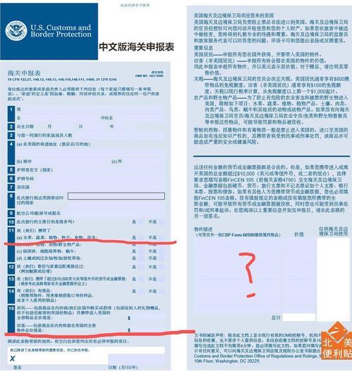 个人海关申报流程
