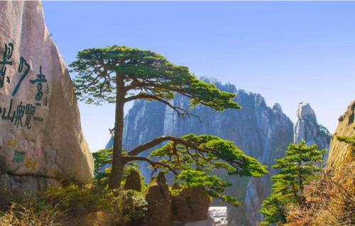 三山指哪三座山