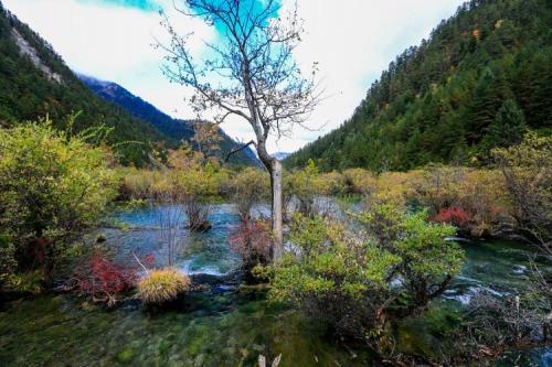 九寨沟是什么藏族支系