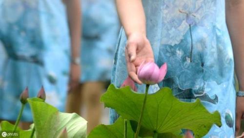 卿卿是什么意思