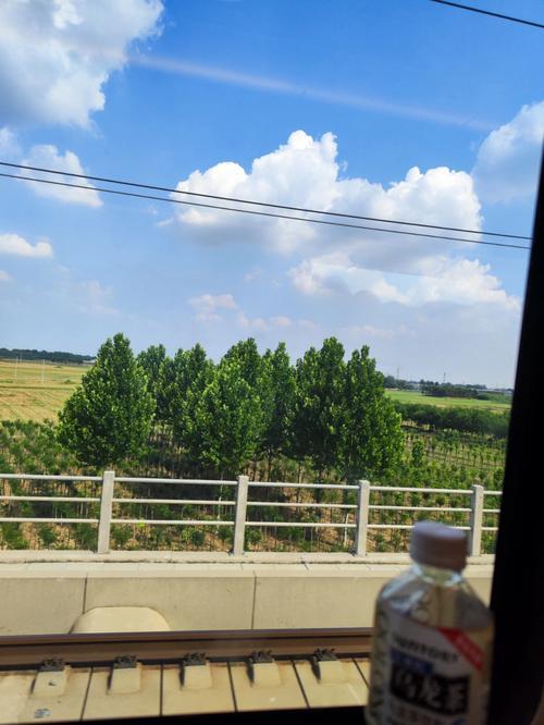 再见郑州歌曲是什么意思