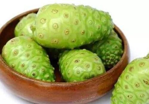 诺丽果怎样吃最好