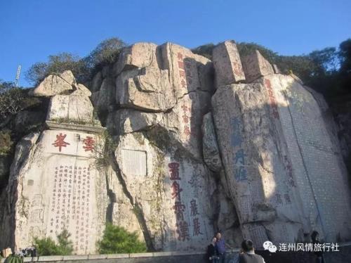 泰山到青岛有多少公里