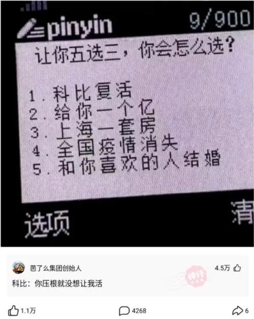 给你几个亿下句怎么回复