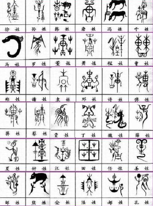 姓的结构