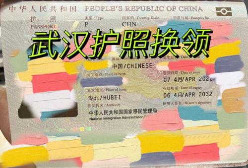 护照是自己求得快还是快递快