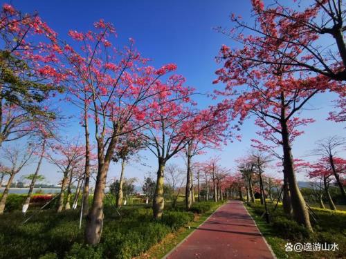 珠海花海长廊几号驿站好玩