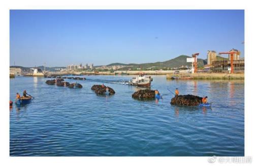塔河湾诗词