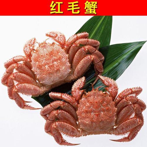 红毛蟹刺身怎么处理