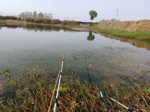 冬天降温前后什么时间钓鱼