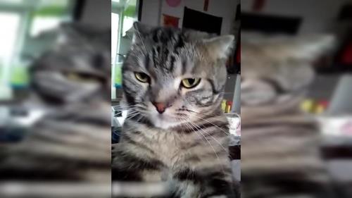 怎么和臭脸的人相处