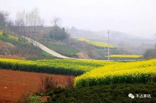 蓝田桐花沟景区都有啥