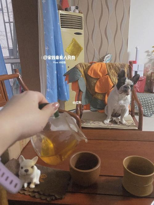 你好茶啊什么意思