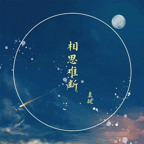 一杯相思难入喉是什么歌