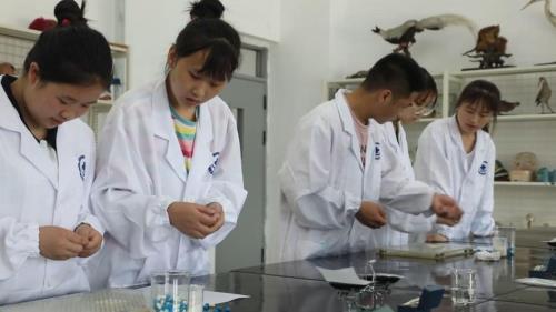 西安正规3加2学校排名
