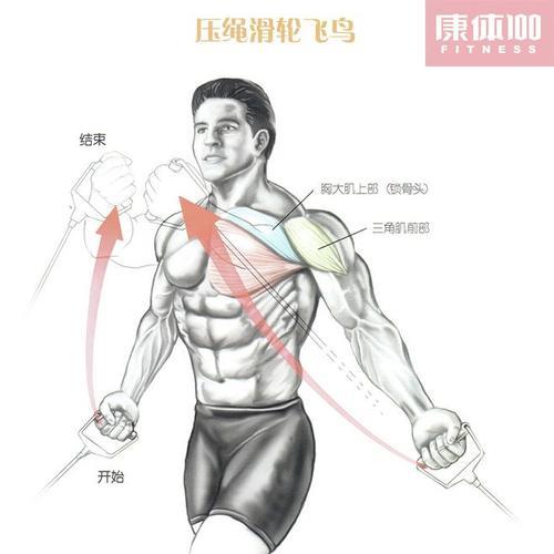 健身中如何将胸肌练得宽大方正