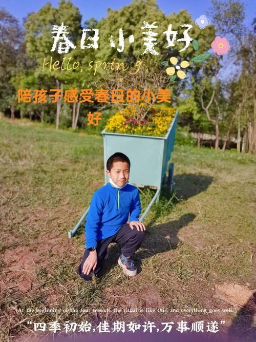 春天天气暖洋洋文案