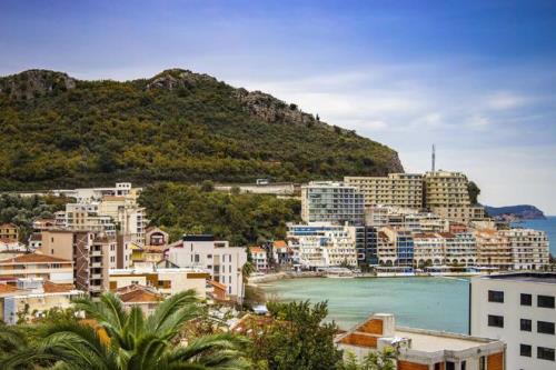 带尼亚的国家有哪些