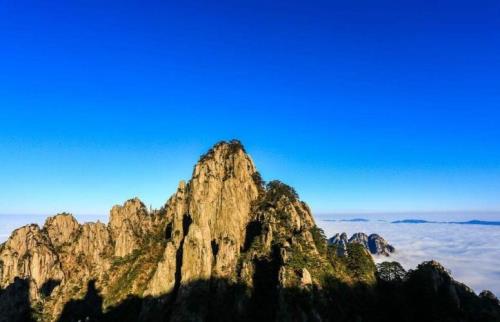 旅游可分为哪几种形式