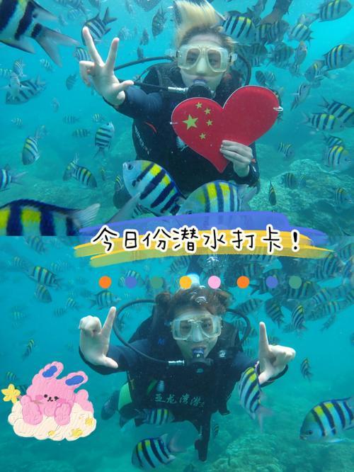 去海南潜水大概花费多少