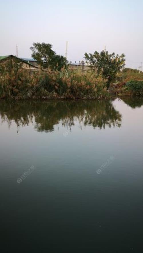 苏州哪里野钓比较好