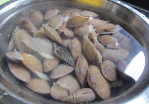 没有壳的花甲肉怎么清洗才干净
