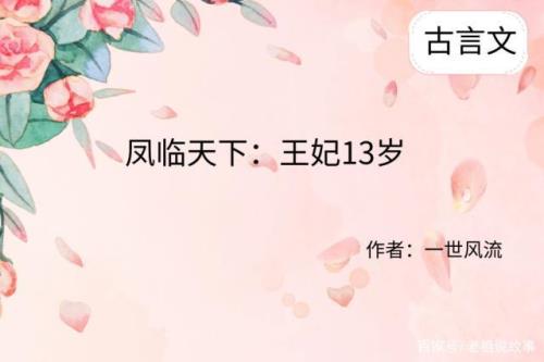 夜逸辰慕容雪的小说名