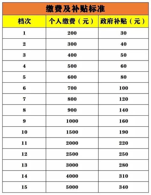 肇庆2023年城乡居民养老缴费标准