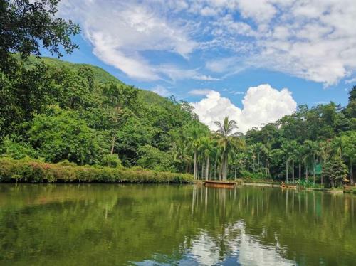 西双版纳有什么好玩的景点