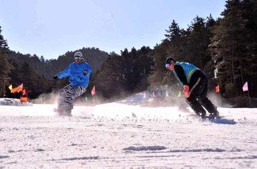 照金滑雪场和玉华宫滑雪场区别