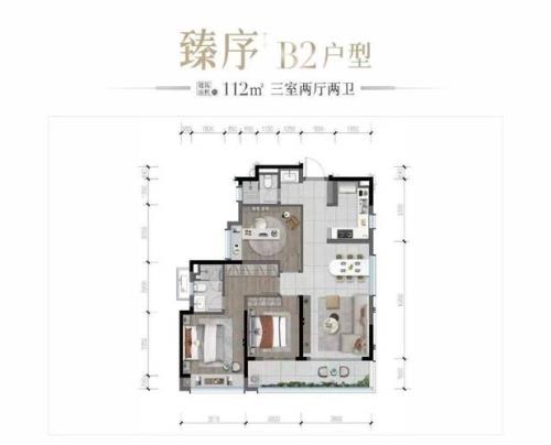中环天序评测
