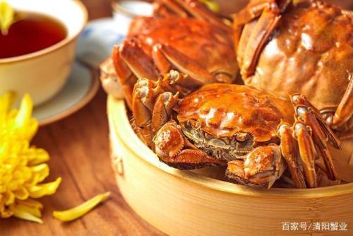 阳澄湖大闸蟹是哪里的