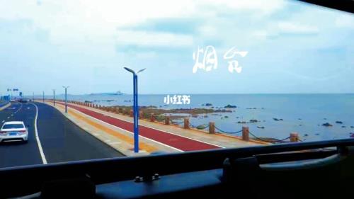 青岛至威海多少公里