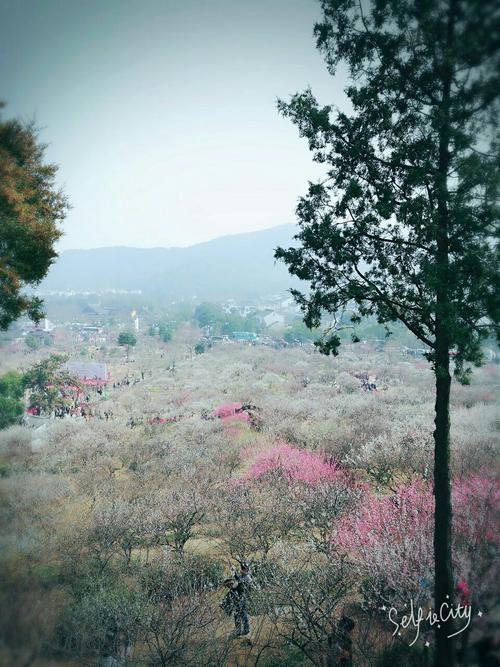 苏州香雪海几号地铁能到