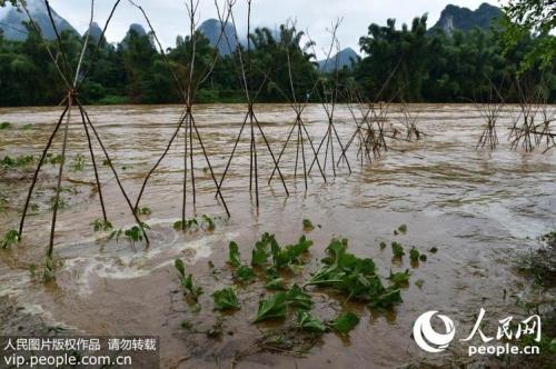 广西罗城县卢三青地址