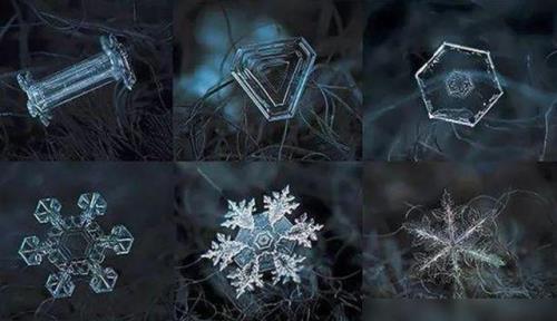 北京说摇太阳是什么意思