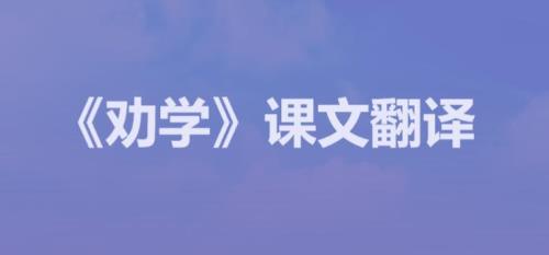 赏析是什么意思