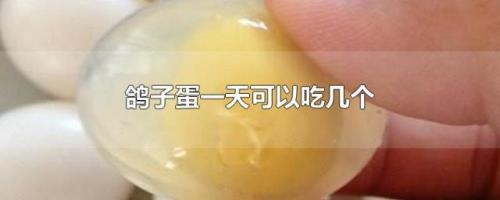 鸽子蛋一般吃几天能看出效果