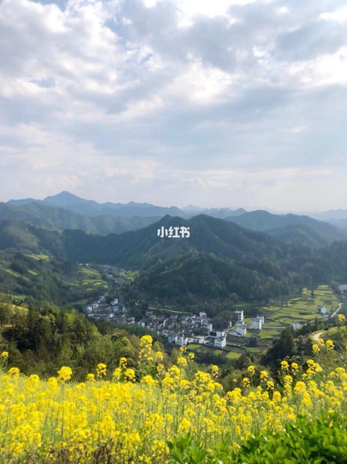推荐黄山附近的5个油菜花最佳地