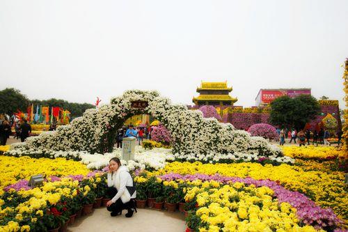 中山菊花展什么时候