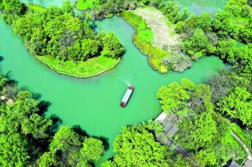 杭州西溪湿地面积
