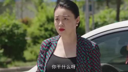 乡村爱情的杨总扮演者