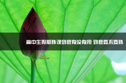 韶关市武江区高中周末要补课吗