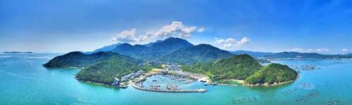 深圳大鹏新区属于哪个区